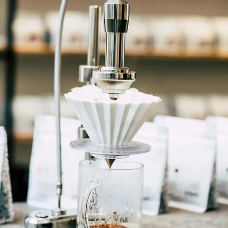 Way Sweet Dreams - 1 Gent