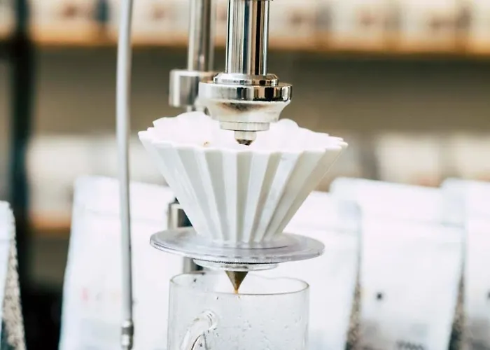 Way Sweet Dreams - 1 Gent